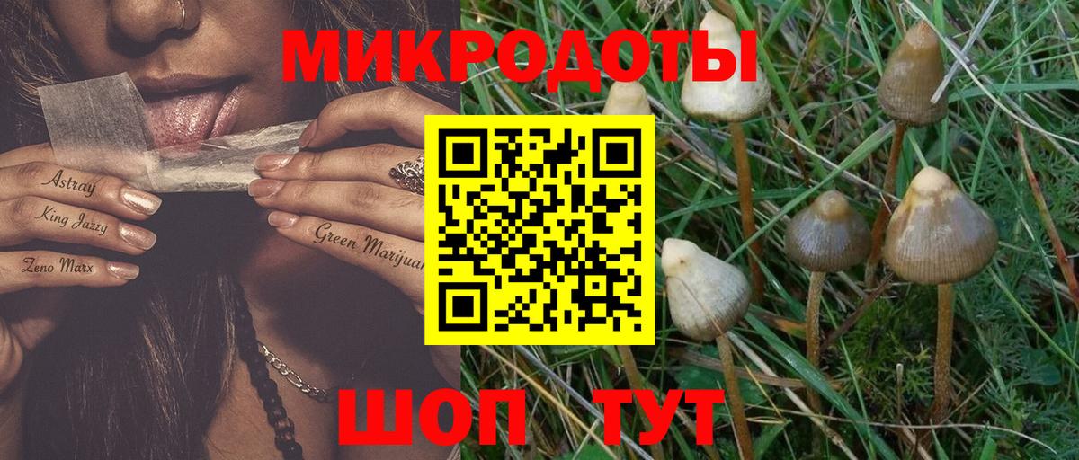 Дзержинск  Псилоцибиновые грибы Magic Shrooms  где купить наркотик  Вход с VPN  Галлюциногенные грибы прущие грибы 